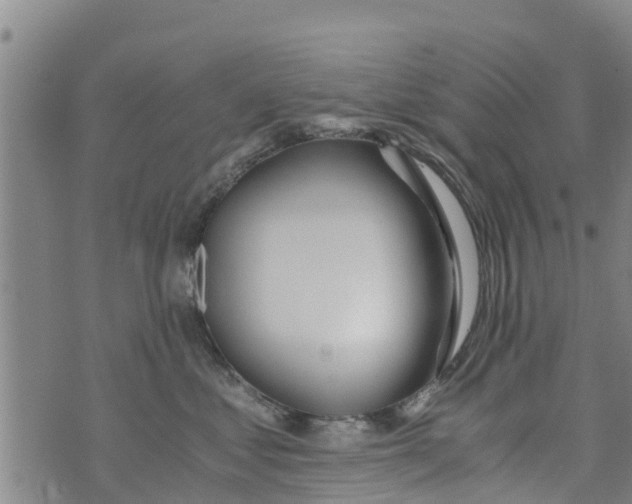 X0000073920621200609082239