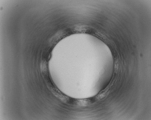 X0000073920623200609082239