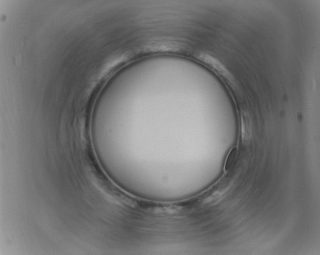 X0000073920627200609082238