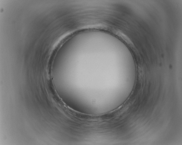 X0000073920628200609082238