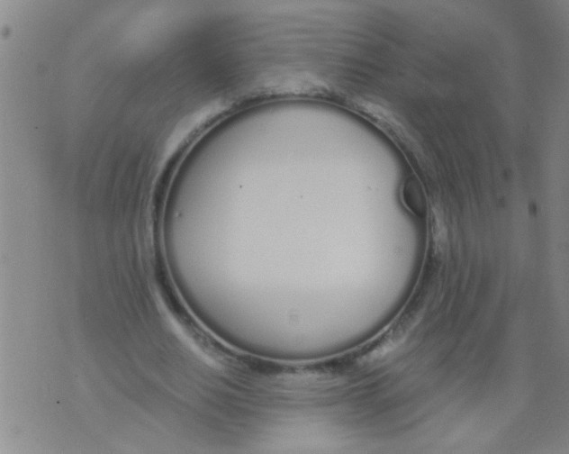 X0000073920630200609082239