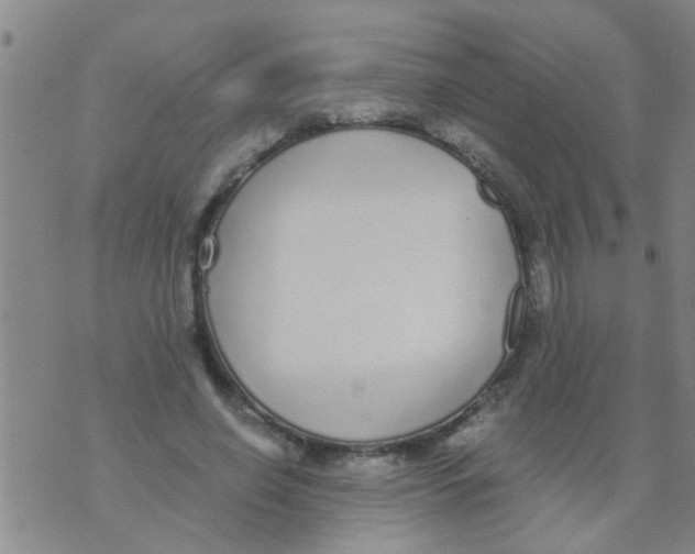 X0000073920638200609082239