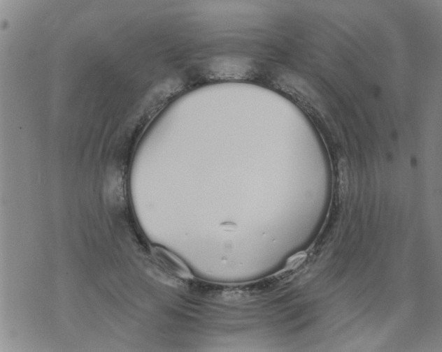 X0000073920641200609082239