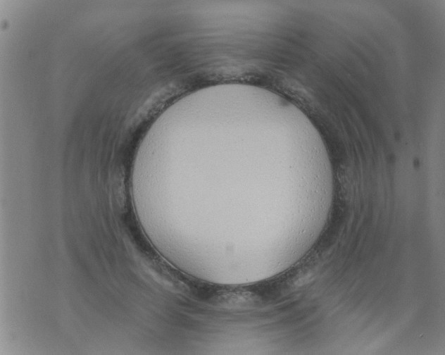 X0000073920642200609082239