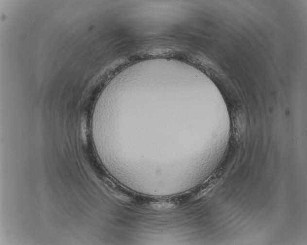 X0000073920644200609082239