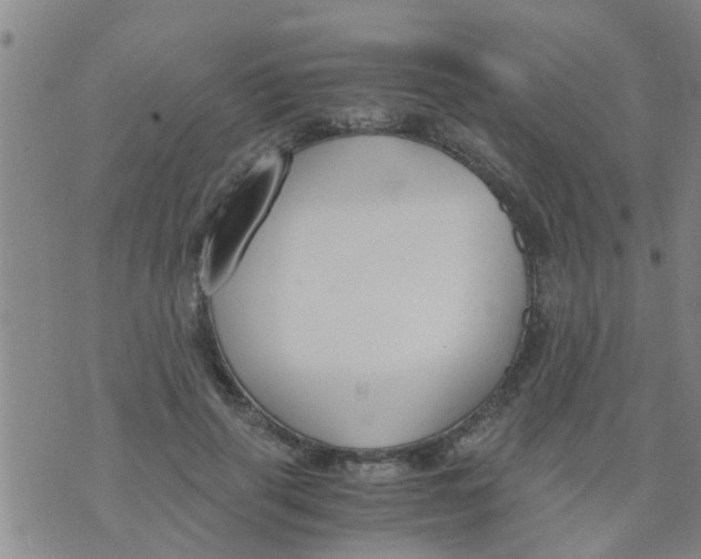 X0000073920645200609082239