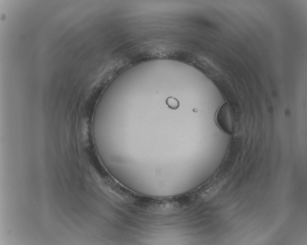 X0000073920646200609082239