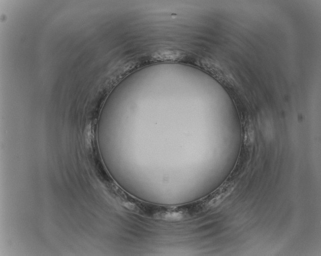 X0000073920647200609082239