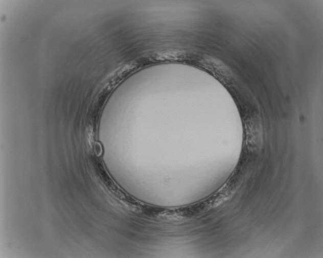 X0000073920648200609082239