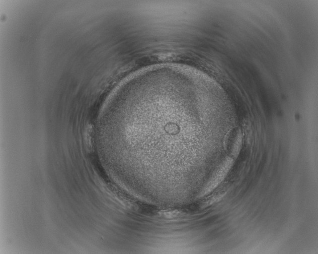 X0000073920650200609082239