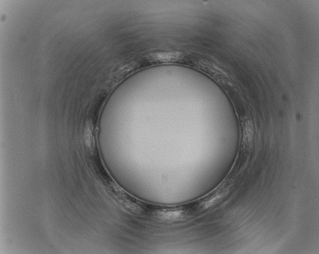 X0000073920651200609082239