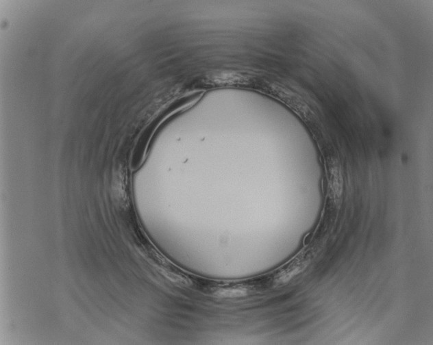 X0000073920653200609082239