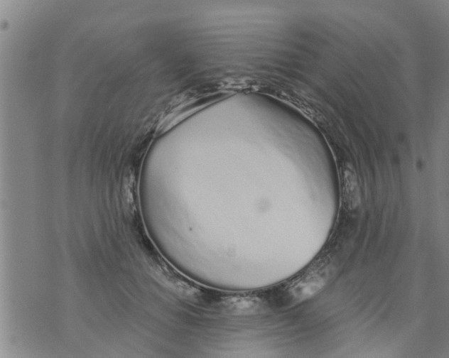 X0000073920654200609082239