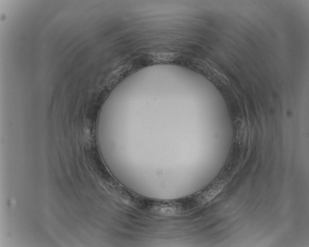 X0000073920655200609082239