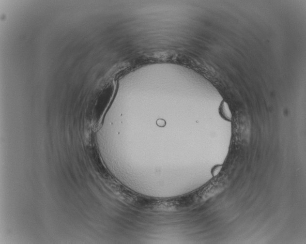 X0000073920656200609082239