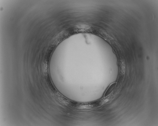 X0000073920657200609082239