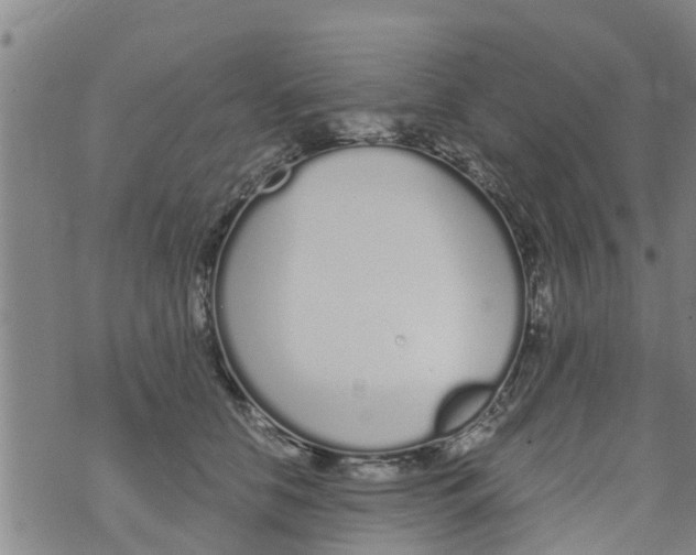 X0000073920658200609082239