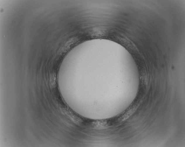 X0000073920660200609082239