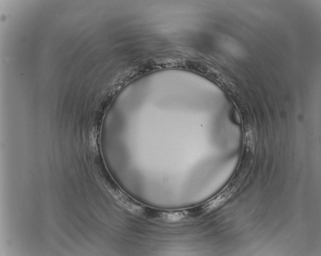 X0000073920662200609082239