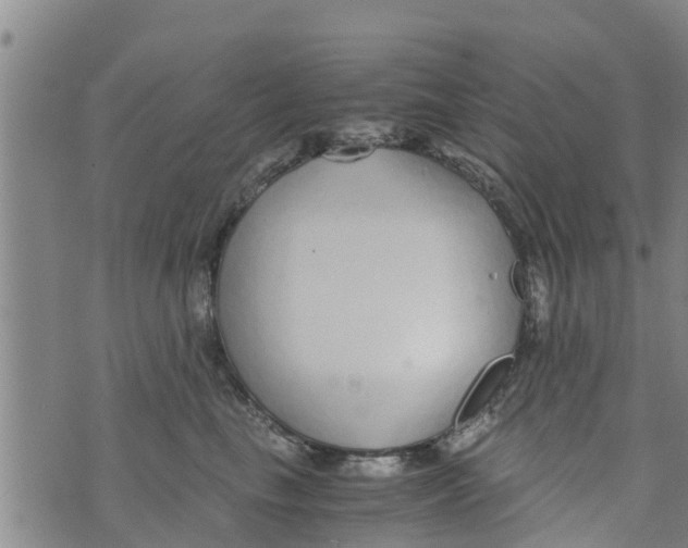 X0000073920665200609082239