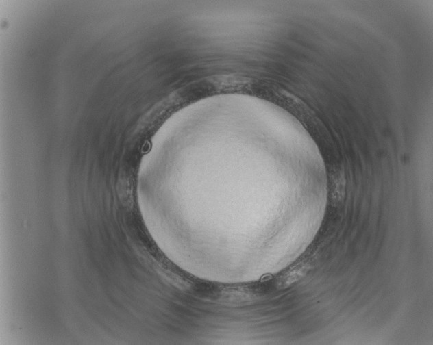 X0000073920666200609082239