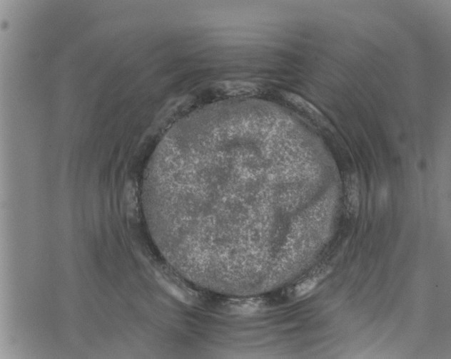 X0000073920667200609082239