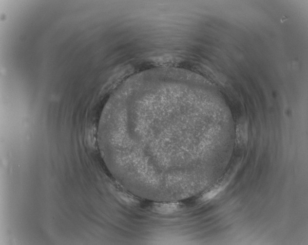 X0000073920671200609082239