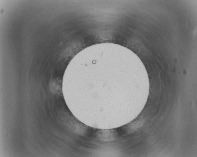 X0000073920672200609082239