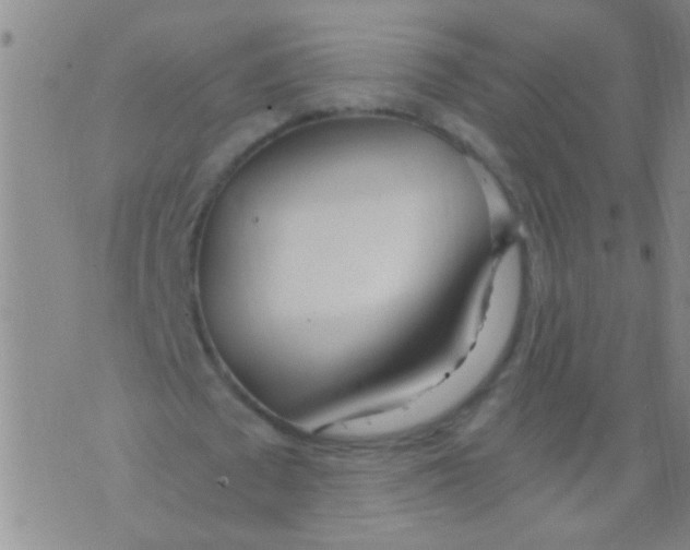 X0000073920673200609082238