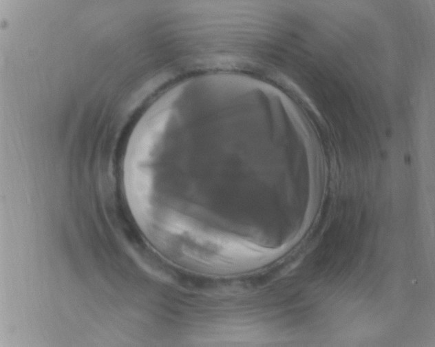 X0000073920674200609082238