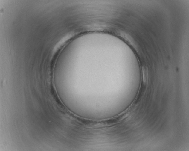 X0000073920675200609082238