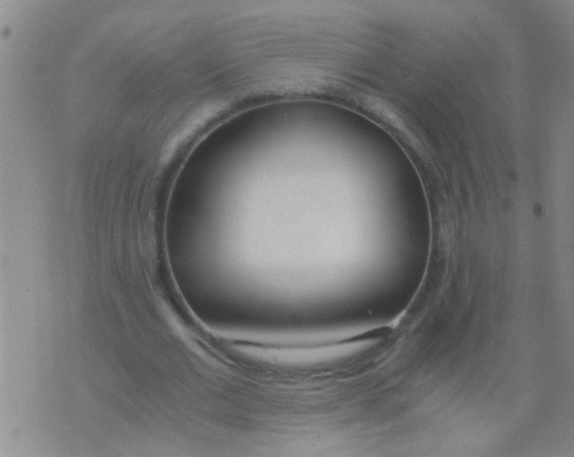 X0000073920677200609082238