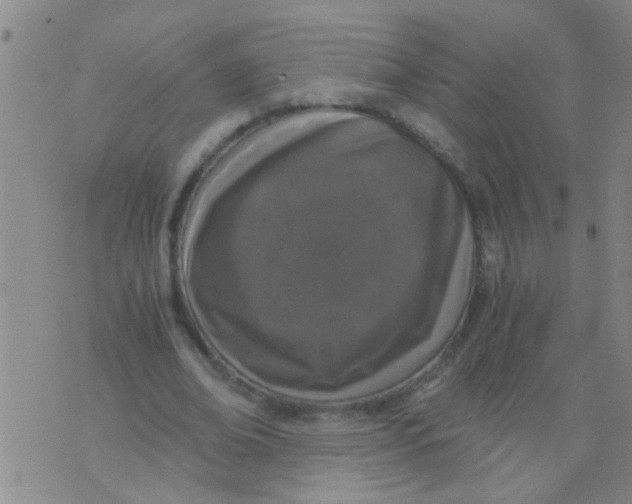 X0000073920678200609082238