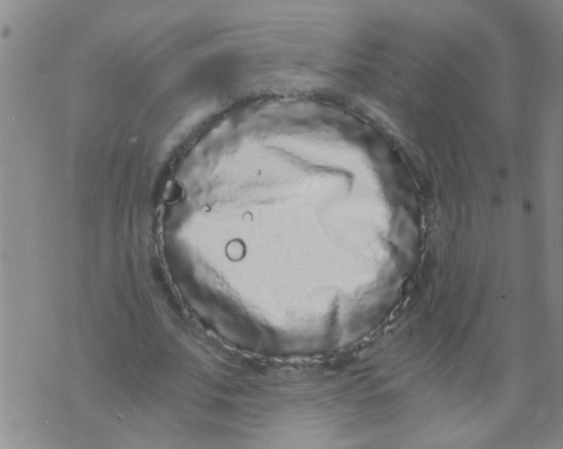 X0000073920679200609082238