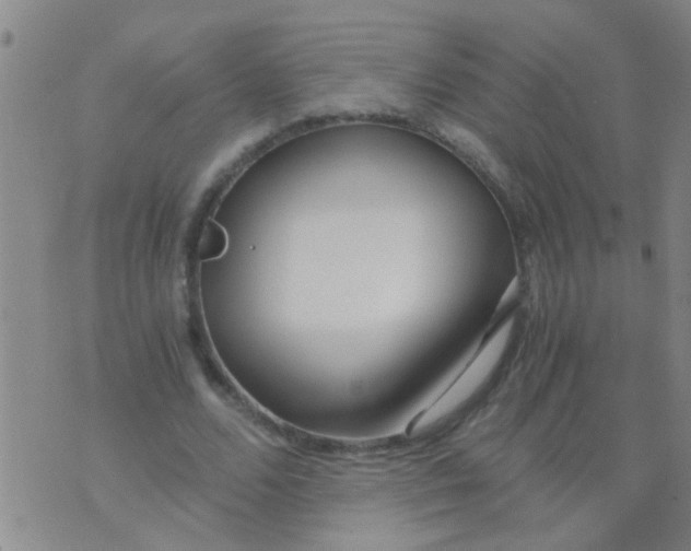 X0000073920680200609082238