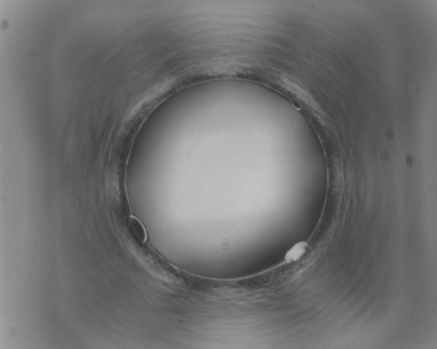 X0000073920681200609082238