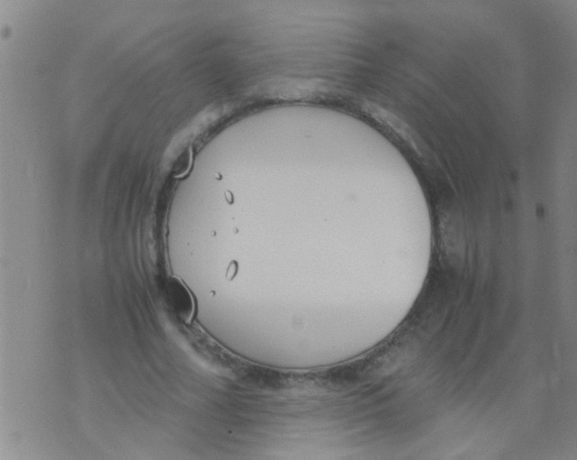 X0000073920682200609082238