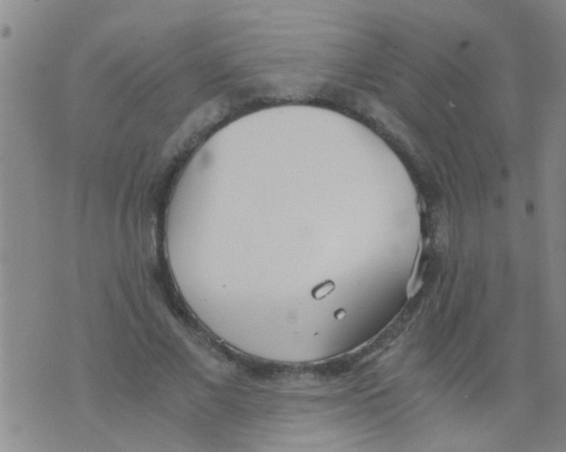 X0000073920685200609082238