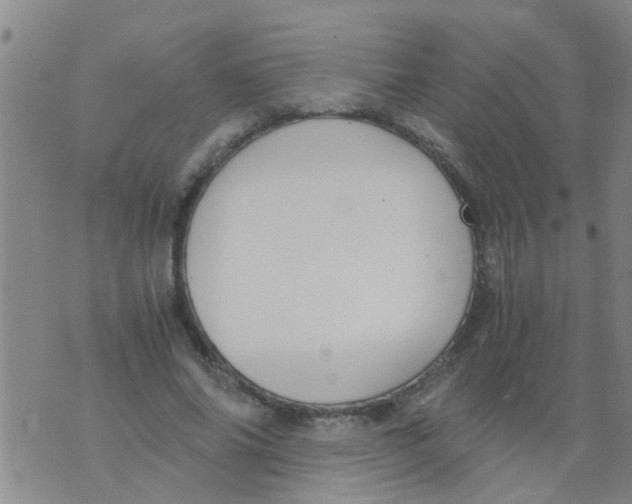 X0000073920686200609082238