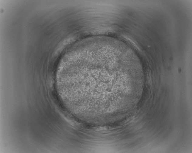 X0000073920687200609082238