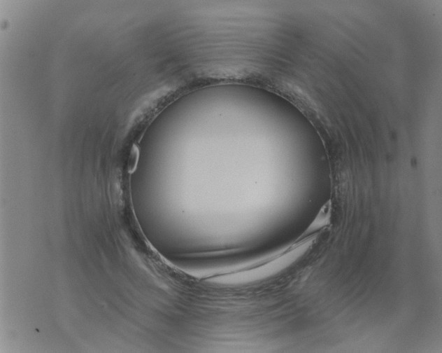 X0000073920688200609082238