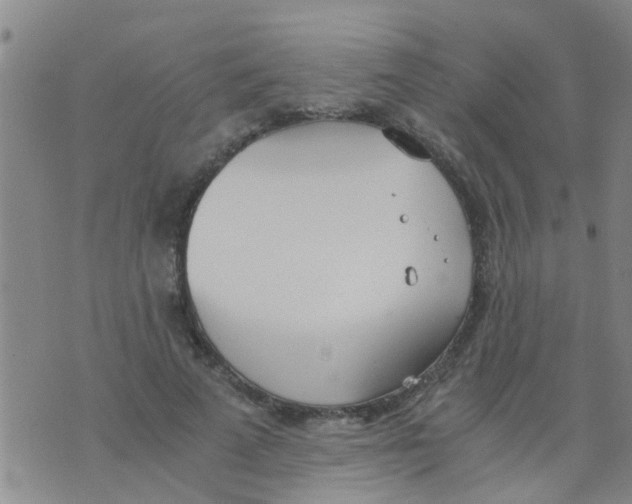 X0000073920689200609082238