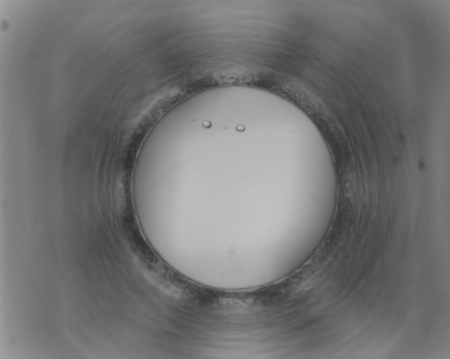 X0000073920690200609082238