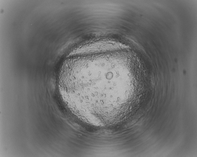 X0000073920691200609082238