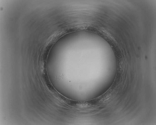 X0000073920693200609082238