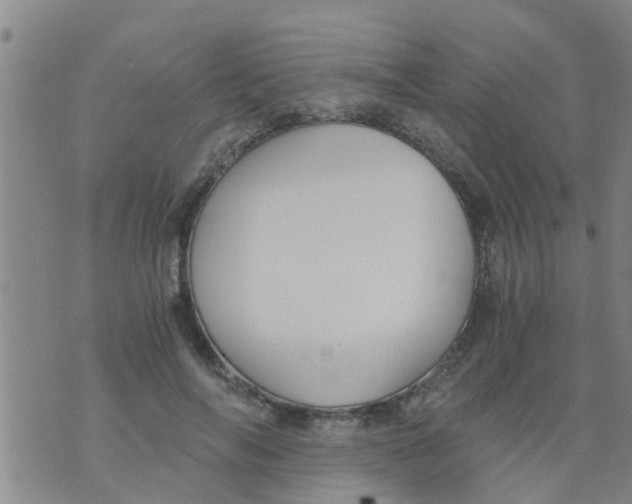 X0000073920694200609082238