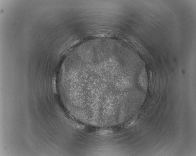 X0000073920696200609082238