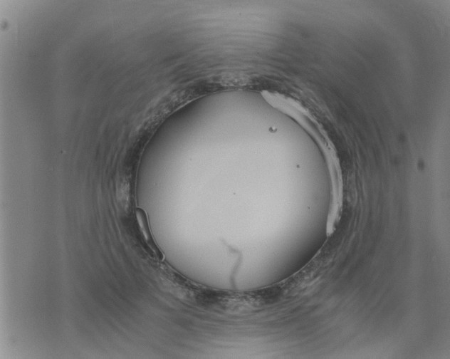 X0000073920697200609082238