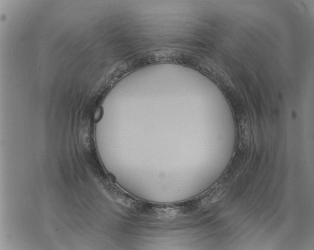 X0000073920698200609082238