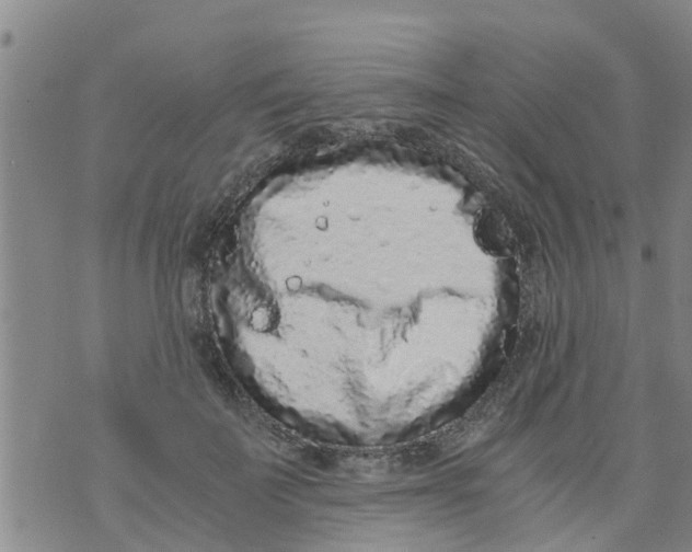 X0000073920699200609082238